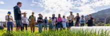 Regenerative Gardening at Mangaroa Farm