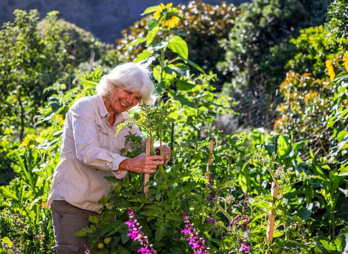 Our trustee Doris in her permaculture garden at home